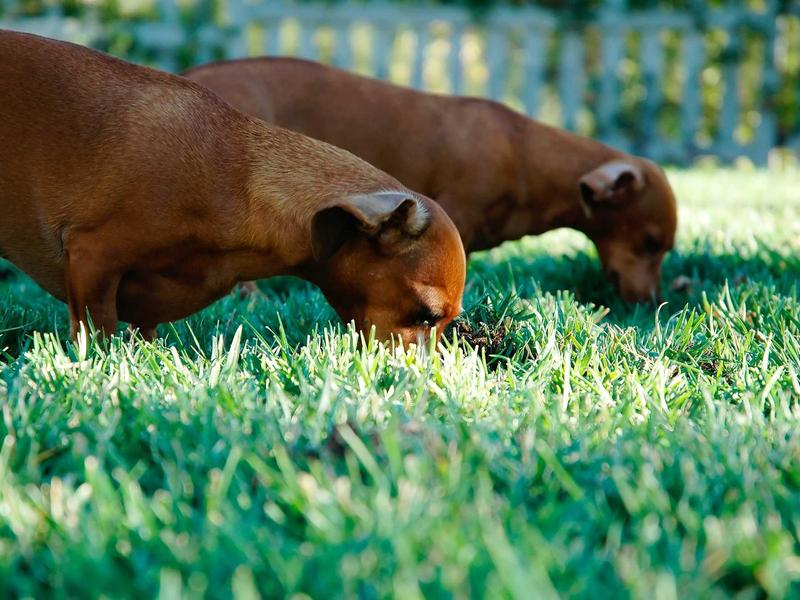 android screenshot 2