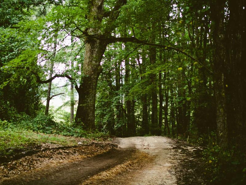 android screenshot 4